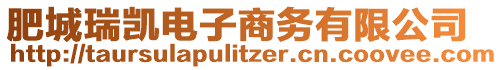 肥城瑞凱電子商務(wù)有限公司