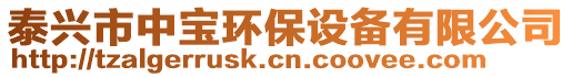 泰興市中寶環(huán)保設備有限公司