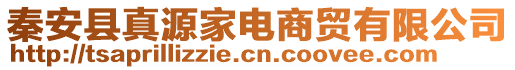 秦安縣真源家電商貿(mào)有限公司