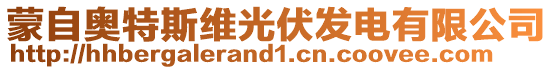 蒙自?shī)W特斯維光伏發(fā)電有限公司