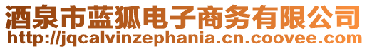 酒泉市藍(lán)狐電子商務(wù)有限公司