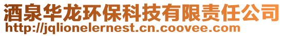 酒泉华龙环保科技有限责任公司