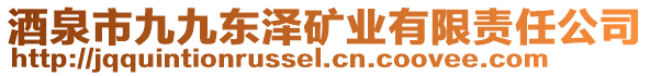 酒泉市九九東澤礦業(yè)有限責(zé)任公司