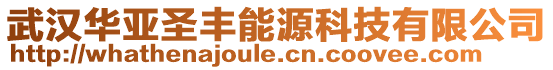 武汉华亚圣丰能源科技有限公司