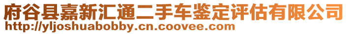 府谷縣嘉新匯通二手車鑒定評估有限公司