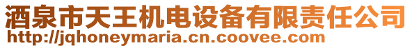 酒泉市天王機(jī)電設(shè)備有限責(zé)任公司