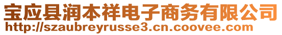 寶應(yīng)縣潤本祥電子商務(wù)有限公司