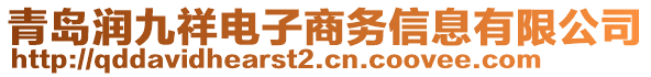 青島潤九祥電子商務(wù)信息有限公司