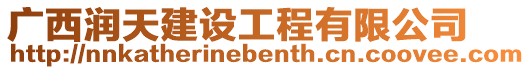 廣西潤天建設工程有限公司