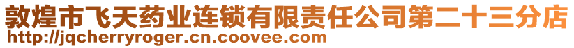 敦煌市飛天藥業(yè)連鎖有限責(zé)任公司第二十三分店