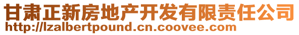 甘肅正新房地產(chǎn)開發(fā)有限責(zé)任公司