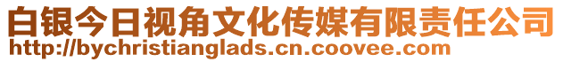 白銀今日視角文化傳媒有限責(zé)任公司