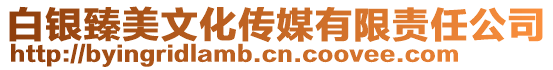 白銀臻美文化傳媒有限責任公司