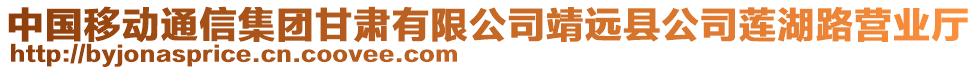 中國移動通信集團甘肅有限公司靖遠(yuǎn)縣公司蓮湖路營業(yè)廳