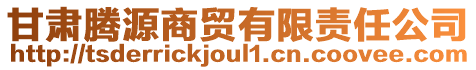 甘肅騰源商貿(mào)有限責(zé)任公司