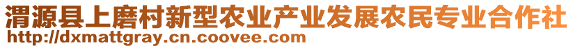 渭源縣上磨村新型農(nóng)業(yè)產(chǎn)業(yè)發(fā)展農(nóng)民專業(yè)合作社