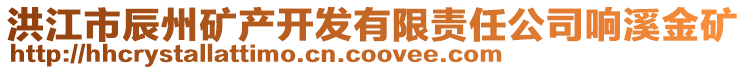 洪江市辰州礦產開發(fā)有限責任公司響溪金礦