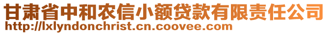 甘肅省中和農(nóng)信小額貸款有限責任公司