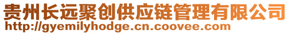 貴州長遠(yuǎn)聚創(chuàng)供應(yīng)鏈管理有限公司