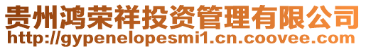 貴州鴻榮祥投資管理有限公司