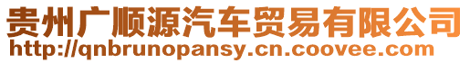 貴州廣順源汽車貿易有限公司