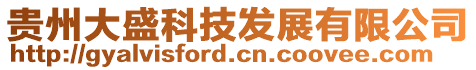 貴州大盛科技發展有限公司