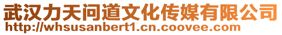 武漢力天問道文化傳媒有限公司