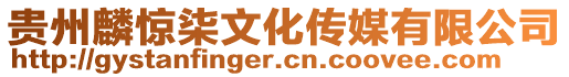 貴州麟驚柒文化傳媒有限公司