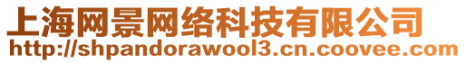 上海網(wǎng)景網(wǎng)絡(luò)科技有限公司