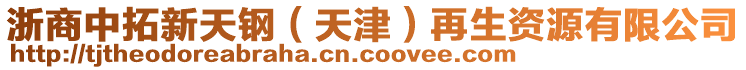 浙商中拓新天鋼（天津）再生資源有限公司