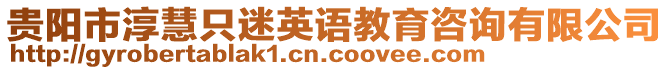 貴陽市淳慧只迷英語教育咨詢有限公司