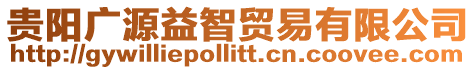 貴陽廣源益智貿易有限公司