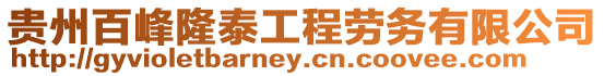貴州百峰隆泰工程勞務(wù)有限公司