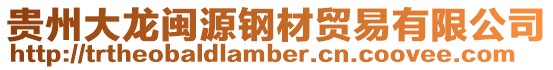 貴州大龍閩源鋼材貿易有限公司