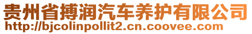 貴州省搏潤汽車養(yǎng)護有限公司