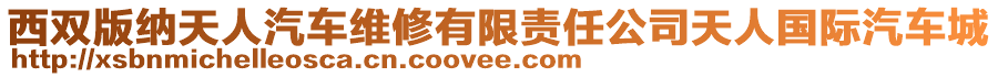 西雙版納天人汽車維修有限責任公司天人國際汽車城