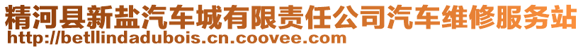 精河縣新鹽汽車(chē)城有限責(zé)任公司汽車(chē)維修服務(wù)站