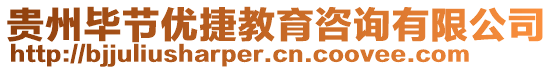 貴州畢節(jié)優(yōu)捷教育咨詢有限公司