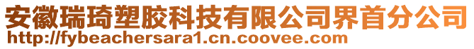 安徽瑞琦塑膠科技有限公司界首分公司