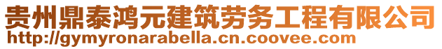 貴州鼎泰鴻元建筑勞務(wù)工程有限公司