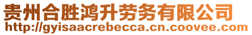 貴州合勝鴻升勞務(wù)有限公司