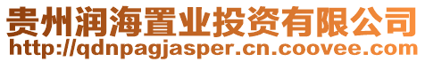貴州潤海置業投資有限公司