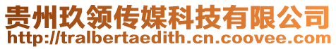 貴州玖領(lǐng)傳媒科技有限公司