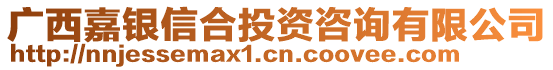 廣西嘉銀信合投資咨詢有限公司