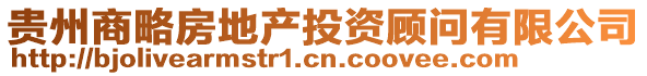 貴州商略房地產(chǎn)投資顧問有限公司