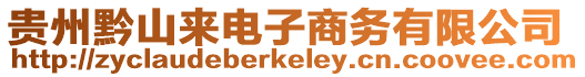 貴州黔山來電子商務(wù)有限公司