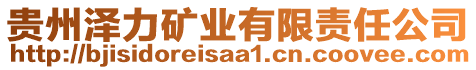 貴州澤力礦業(yè)有限責(zé)任公司