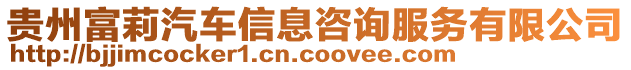 貴州富莉汽車信息咨詢服務(wù)有限公司