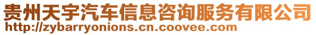 貴州天宇汽車信息咨詢服務有限公司