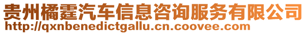 貴州橘霆汽車信息咨詢服務(wù)有限公司